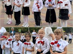img (4)